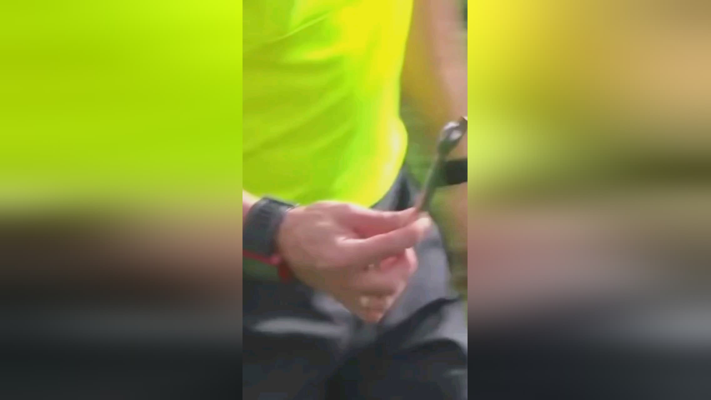 援奎因完